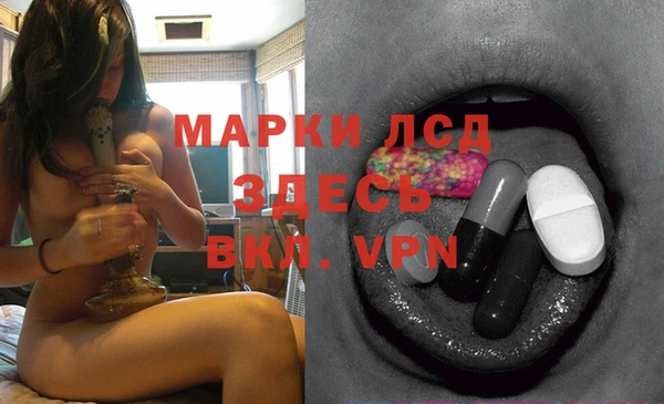 spice Алзамай