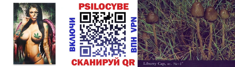 mega tor  Константиновск  Галлюциногенные грибы Magic Shrooms 